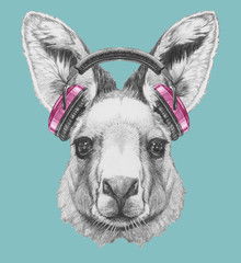 Portrait of Kangaroo with headphones,  hand-drawn illustration