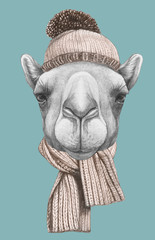 Portrait of Camel with scarf and hat,  hand-drawn illustration