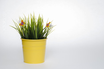 green grass in a yellow bucket