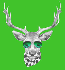 Portrait of Deer with sunglasses and scarf,  hand-drawn illustration