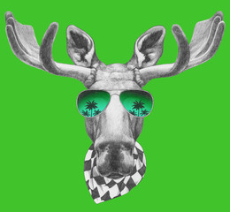 Portrait of Moose with sunglasses and scarf,  hand-drawn illustration