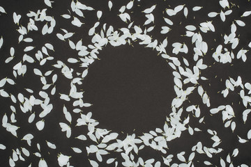top view of petals forming circle frame over black background
