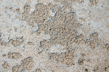 Rough Concrete Texture