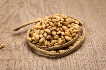 Barley cereal grain. Paper rope around grain. Selective focus.