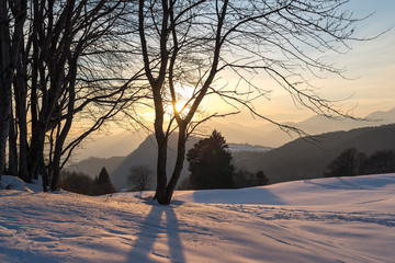 neve in trentino