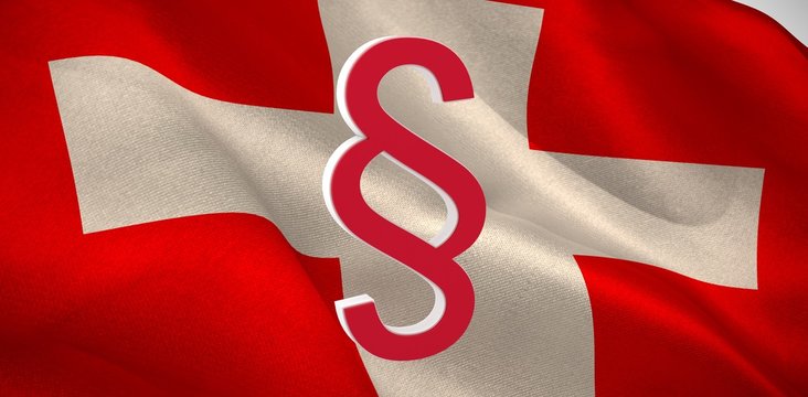 Composite image of vector icon of section symbol