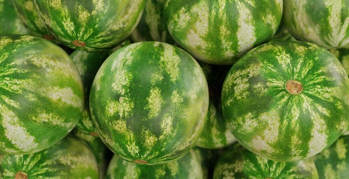 Realistic 3D Render of Melons