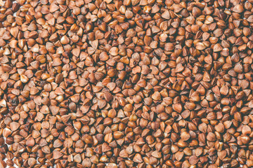 beautiful photo of close up of buckwheat seed