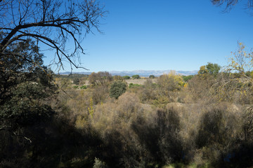 Obraz premium Paisaje otoñal