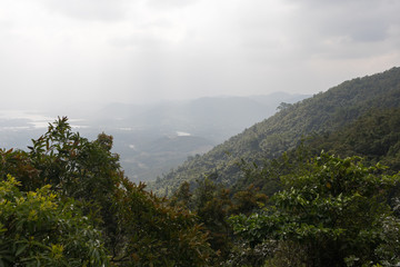 A tropical forest on the slopes of the mountains in Ya Nuo Da Park on the island of Hainan in China