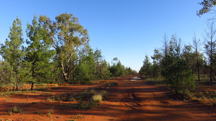 Dirt Road in the Australian Outback