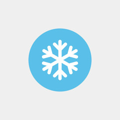 	 Snowflake flat vector icon	