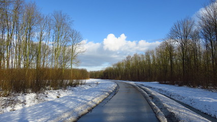 Obraz premium Winter Landscape With Road Running Through Forest