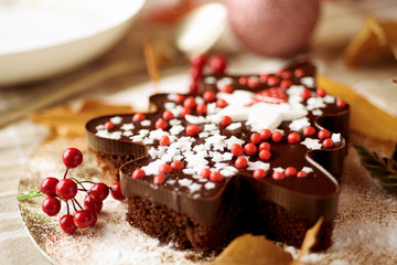 chocolate cake in the shape of a christmas tree