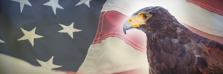 Composite image of close up of golden eagle