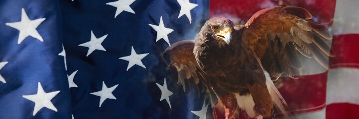 Composite image of close up of golden eagle © vectorfusionart