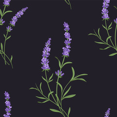Vector lavender seamless pattern. Beautiful and elegant lavender flowers background  - 184564750