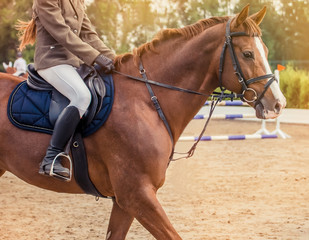 Sorrel dressage horse and rider in brown jacket performing at show jumping competition. Equestrian sport background. 