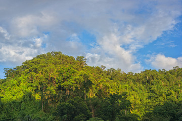Obraz premium Mountain with jungle trees aerial picture at sunset, Philippines