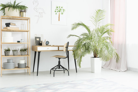 Plant in bright workspace