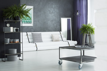 Designer living room with plants