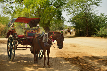 Traditional horse cart, tourist taxi, in Bagan, Myanmar (Burma)