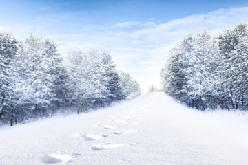 Winter road background 