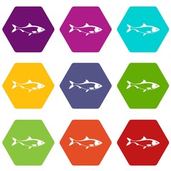 Fish icon set color hexahedron
