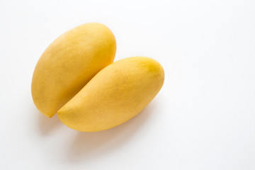 two fruits of yellow mango isolated on white background