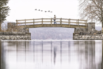 Puentes y Reflejos