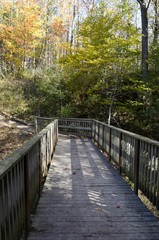 Fototapeta premium wooden footbridge leading into a Autumn foliage forest, , Fanshawe Recreation area, London Ontario, Canada