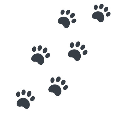 paw footprints on white vector illustration