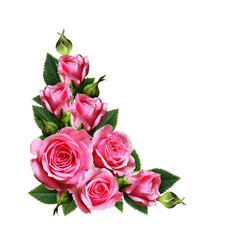 Obraz premium Pink rose flowers corner arrangement