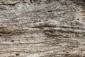 Old wood texture, Natural wood surface, ideal for backgrounds