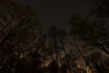 Naklejka premium Night Time Long Exposure