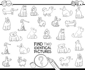 Obraz premium find two identical dog pictures color book