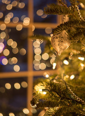 Christmas Lights and Ornaments
