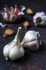 Fresh fragrant garlic on a dark background with copy space