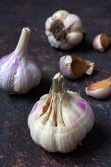Fresh fragrant garlic on a dark background with copy space