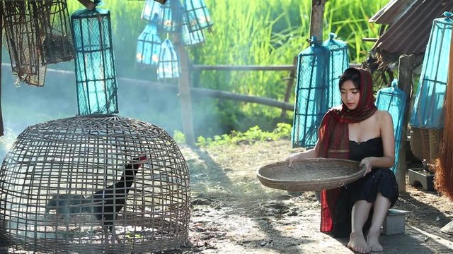 Woman working at housework traditional of countryside Thailand.