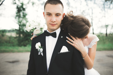 Romantic, fairytale, happy newlywed couple hugging and kissing in a park, trees in background