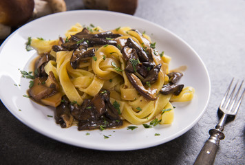 Tagiatelle pasta with creamy sauce with porcini mushrooms