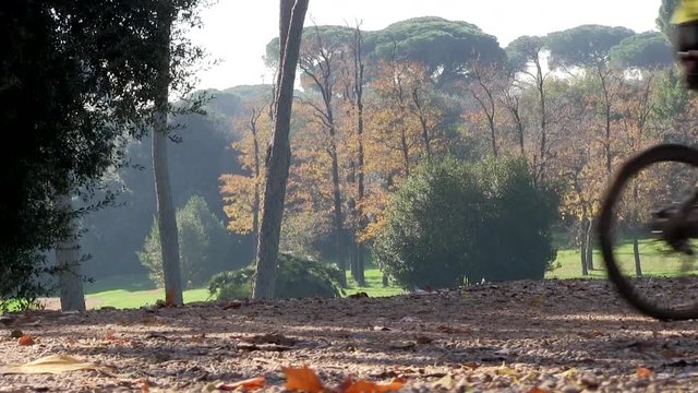 Roma, Italia. Villa Pamphili. Persone che fanno sport
