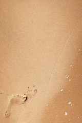 Fototapeta na wymiar Foot print on a beach