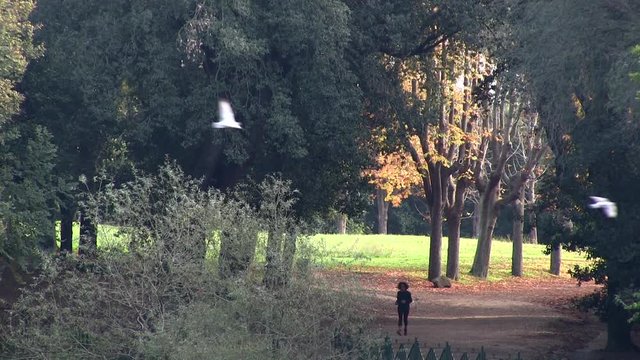 Roma, Italia. Villa Pamphili. Donna che fa sport e passaggio di molti gabbiani in primo piano