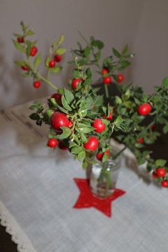 Decoraci&oacute;n de Navidad de fieltro rojo con rusco