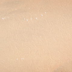 Fototapeta na wymiar wet sand