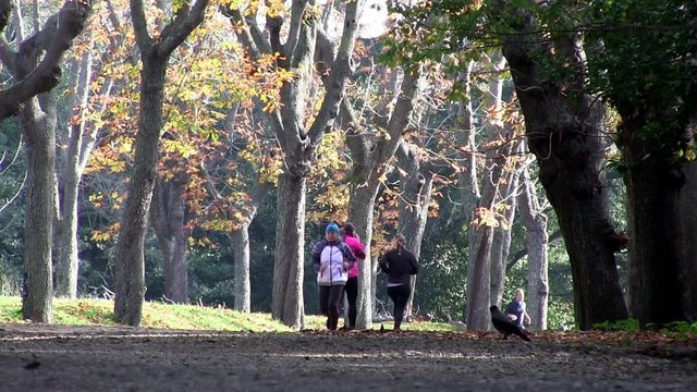 Roma, Italia. Villa Pamphili. Persone che fanno sport