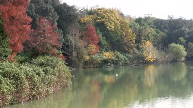 Roma, Italia. Laghetto di Villa Pamphili. Autunno. 