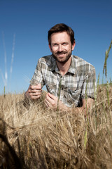 Man examining wheat in field